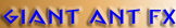 home page